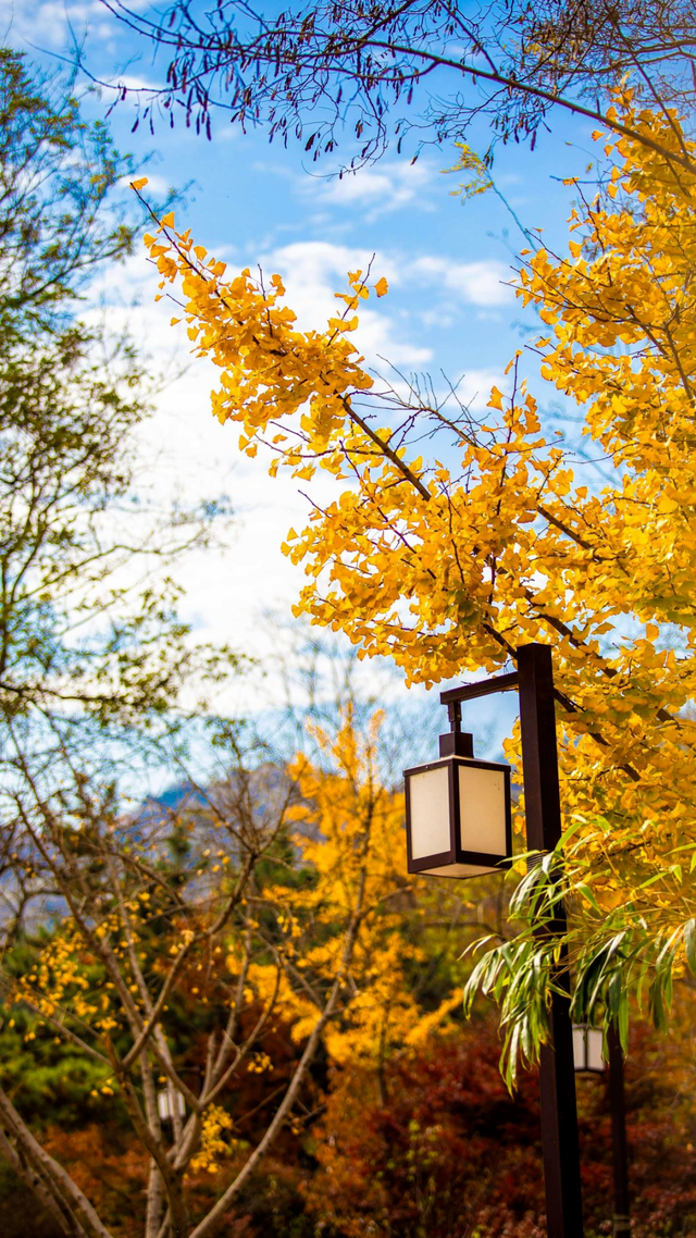 山景正宜人！青岛这里的山，已美到Next level