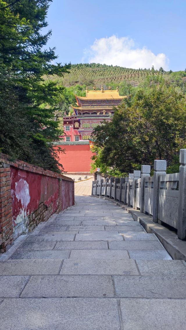 藏传佛教格鲁派四大寺院之一，西宁塔尔寺，碰巧免费进去了