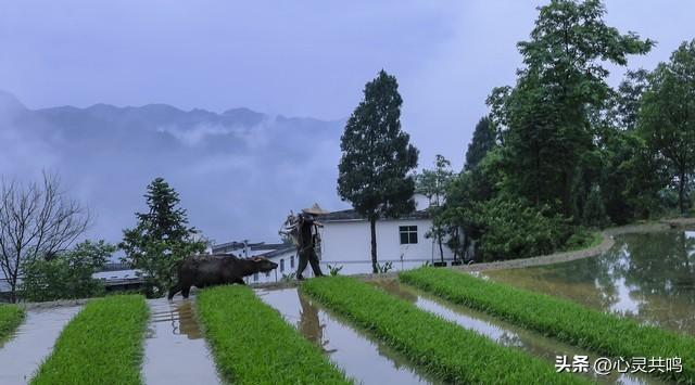 两性关系	，惊人发现，60岁与异性靠近，根本不是桃花运	，而是这个