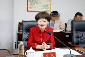 女副市长，任上落马图片