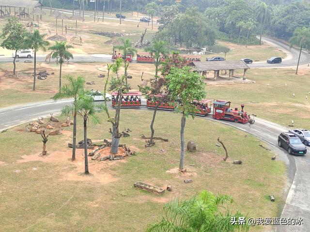 参观广州长隆野生动物园，全程感觉眼累手累腿不累