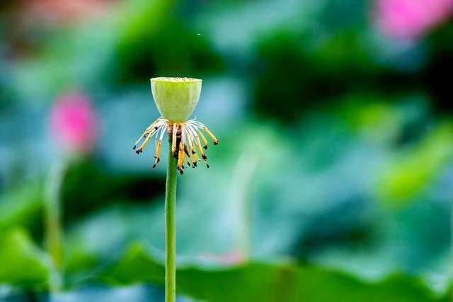87年，去同学家玩，他姐姐把我拉进房间，教我玩“俄罗斯方块”