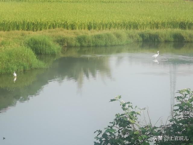 “眼见为实”与“眼见不一定为实”的来龙去脉是啥样？带你涨见识