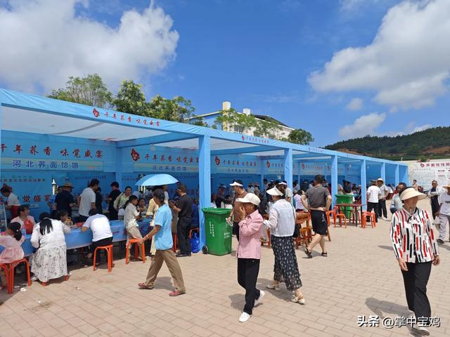 陇县河北镇：荞麦花海映初心 万亩花海促振兴
