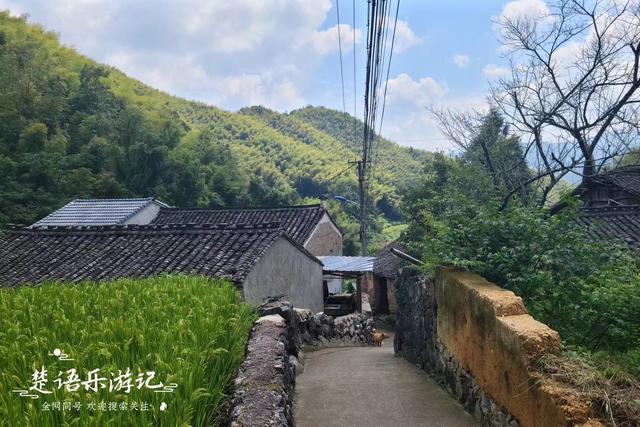 浙江宁波雷虎岩下的古村，犹如被遗忘的山中明珠，堪比世外桃源