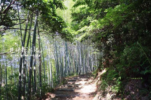 浙江宁波的竹林双古道，被誉为治愈系徒步胜地，景色宜人值得游玩