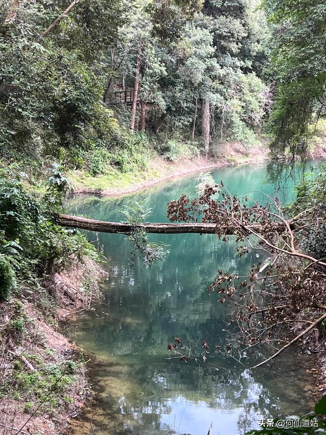 游流溪河森林公园
