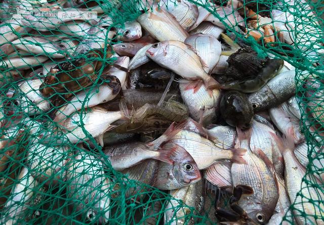 藏在北纬22°的“东方夏威夷”，碧海金沙，景美人少的度假天堂！