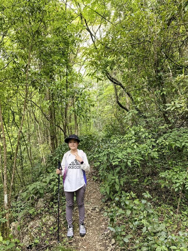 带小朋友去贵州茂兰,连环探洞加漏斗原始森林徒步二日游全攻略!