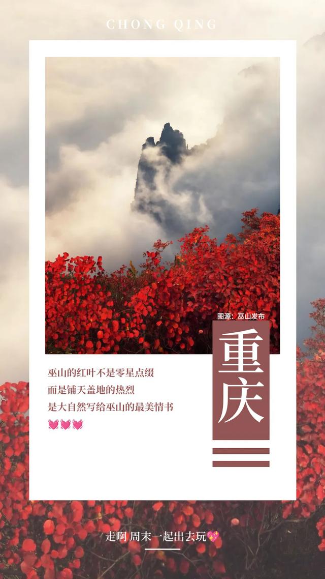 此时不看,再等一年!红了,冲冲冲!