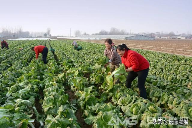 太行雪霁 美不胜收丨视觉安阳第34期