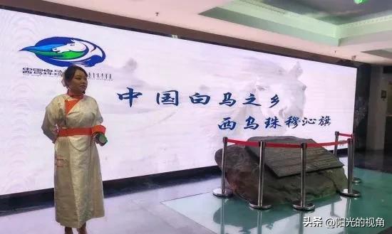片叶度关山，不辱使命，致敬文化之路