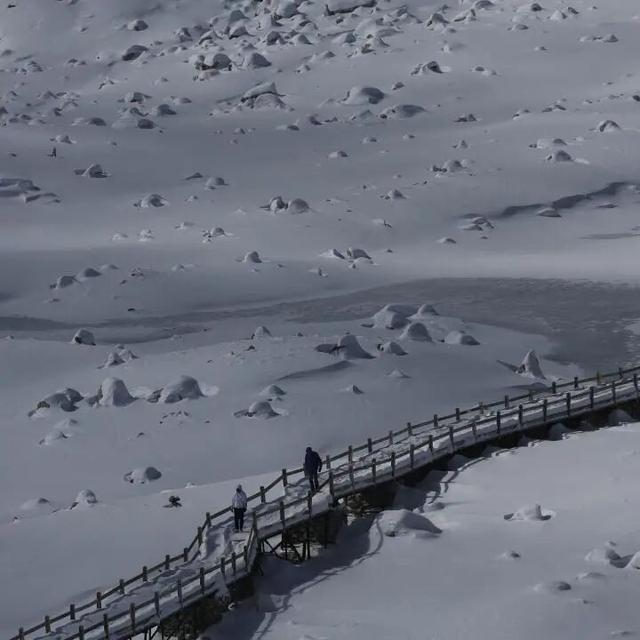 4860米云端告白指南！在达古冰川的日照金山下，说最甜的情话