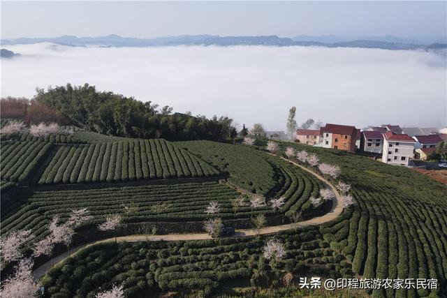 新昌赏秋正当时，这五个必游景点今秋必去，云海农家乐推荐