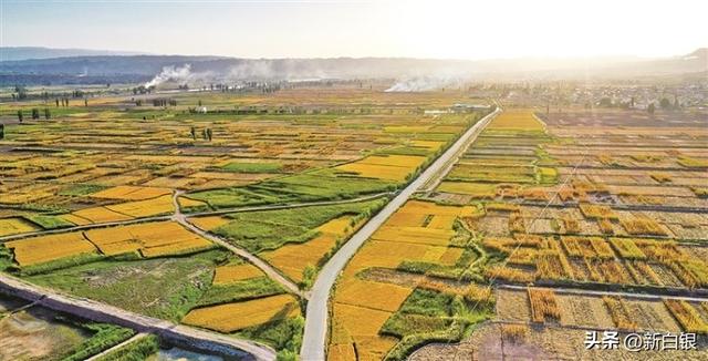 池塘鹭影 色彩斑斓——黄河景泰五佛盆地金秋掠影