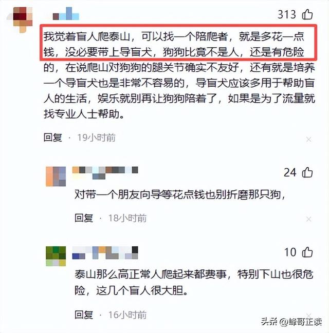 爬泰山的作死夫妻被制裁！导盲犬被收回，身份被扒，家里还有一只