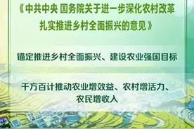 宅基地新政来袭！中央一号文件出炉，农村户口迎来大翻身图片