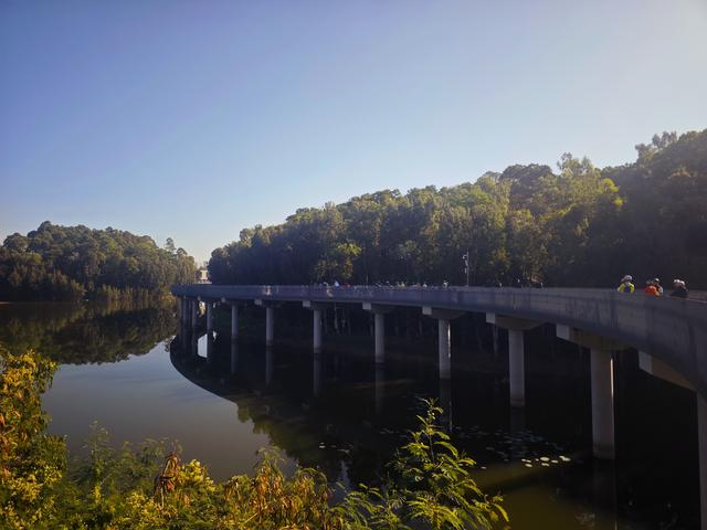 龙华新“骑”点，奔向2026骑行随拍1129