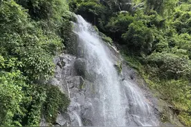琼中百花岭——畅游热带神奇雨林，体验百花瀑布仙境图片