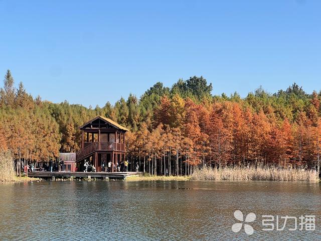 收藏！苏州秋冬公园游玩指南来了