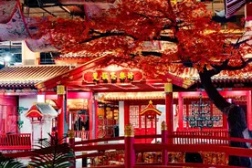 滑雪、逛灯会、看演艺，黄陂陪你欢乐过大年图片