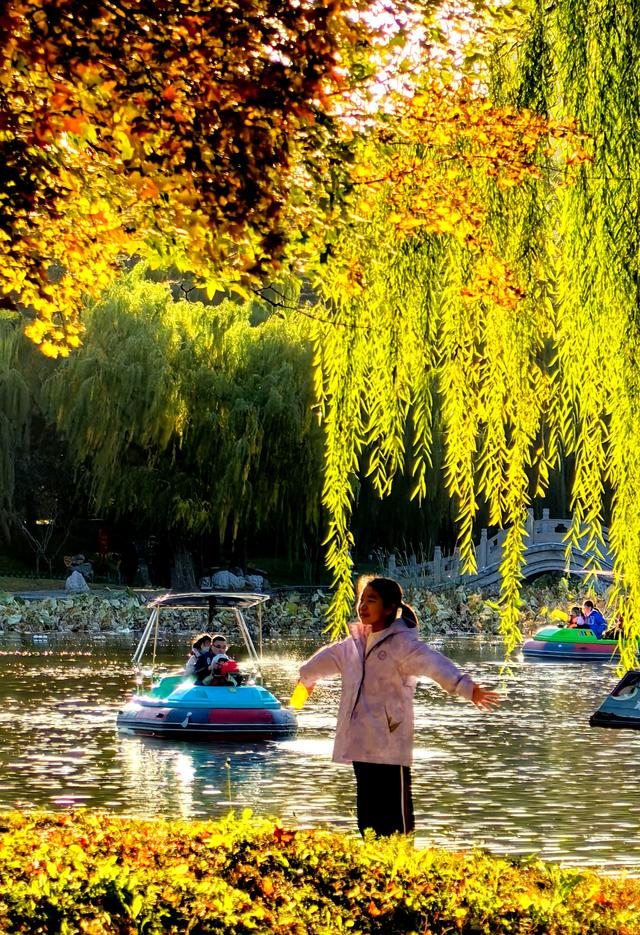 半烟火半诗意：潍坊园林的美，从不被定义