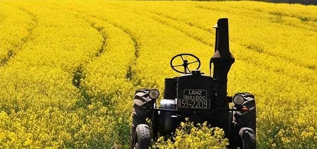 菲开首枪后，第2个攻击中国阅兵的国家出现，5万吨油菜籽白买了？
