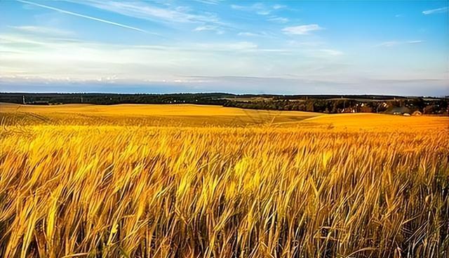 两国可能合并，一旦成功将变成超级大国，恐终结美国一家独大局面