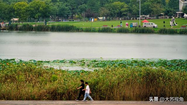 南京溧水藏不住了！国庆露营扎堆，免费湖景+遛娃彩蛋太好逛