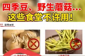 学校单位食堂为啥都不做四季豆？四季豆怎么得罪教育部了？图片