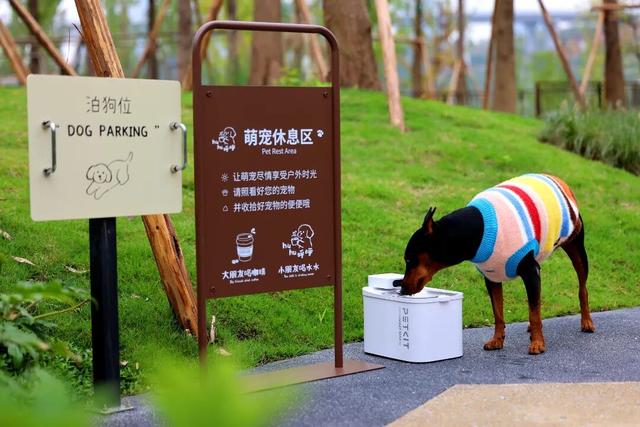 重庆公园+1+1+1……快到这些地方晒太阳→