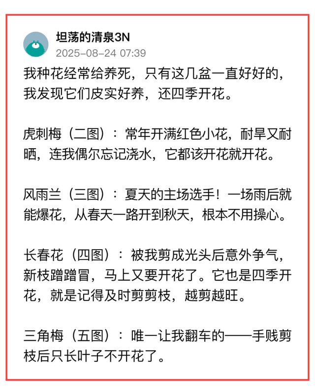 敢不敢来参加头条园艺pk赛