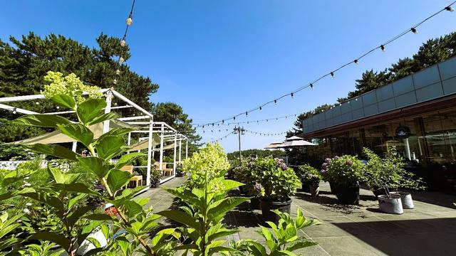 感受自然之美,夏日里的清幽秘境, 韩国济州岛汉拿树木园