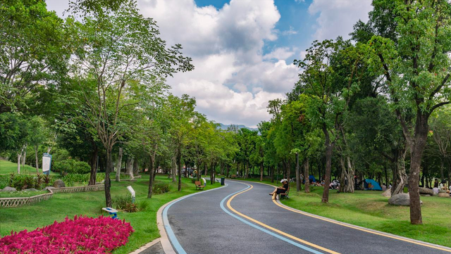 藏在市中心的莫奈花园，不仅能观赏绝美水杉，还能露营溜娃拍照