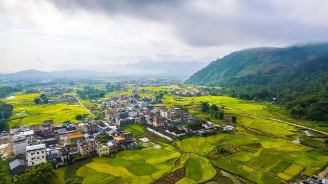 多彩阳山·每日一景｜夏日田园风光