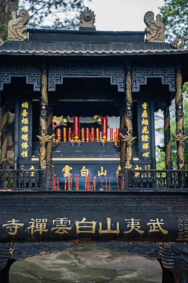 重阳、秋假去哪里？武夷登高待君来！