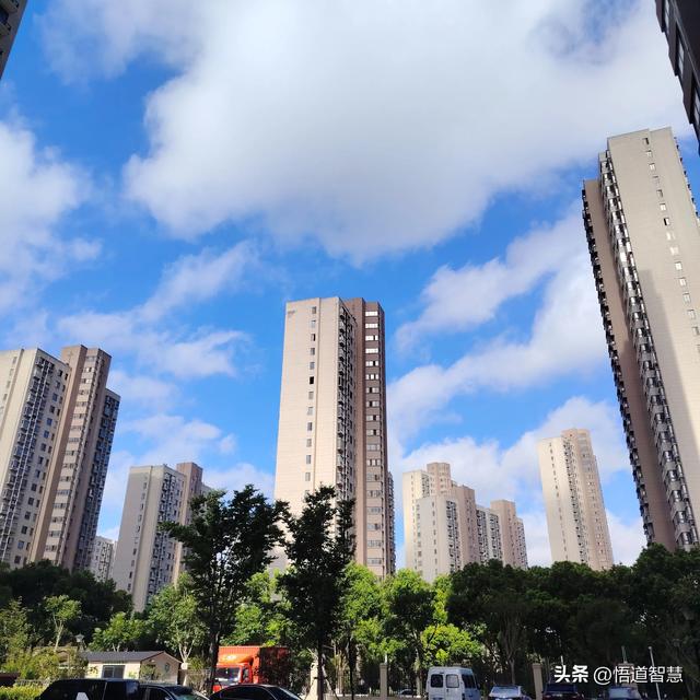 什么是真善美