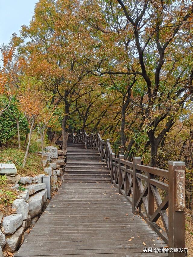 【乐游烟台】一键收藏！烟台Parkwalk也太太太出片了