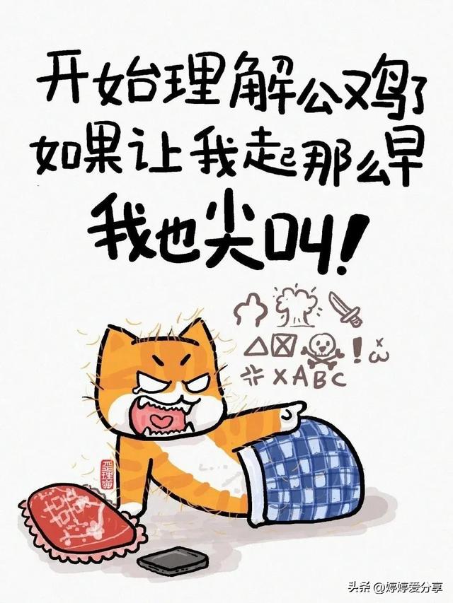 歪理漫画，歪的很有道理🔥🔥