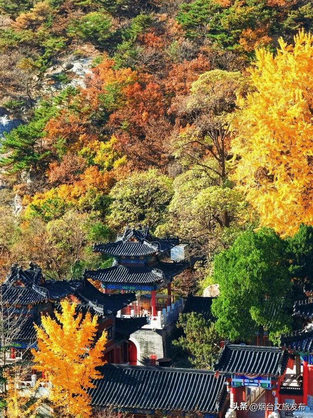 【乐游烟台】烟台绝美赏秋地即将封山，别错过