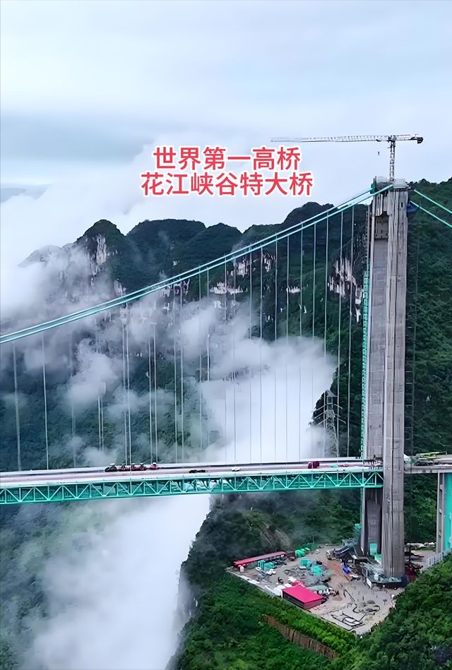 贵州建世界第一高桥！跨80公里峡谷，企业运货省2小时降成本