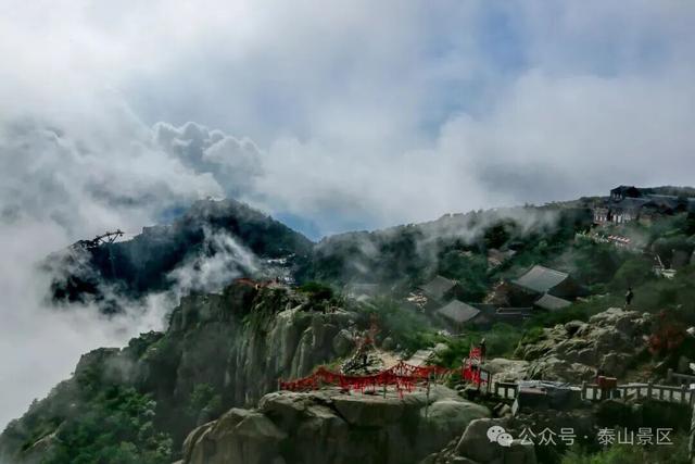 我想离开浪浪山，去看看泰山的四季轮转！