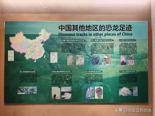 来河源才知道河源是中国恐龙之乡，挖掘出的恐龙蛋超级多