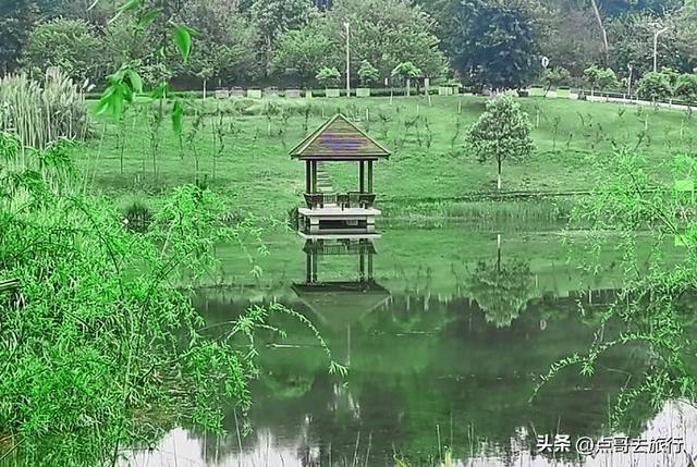 成都天府新区超级冷门公园，本地人私藏的精华，不要门票！