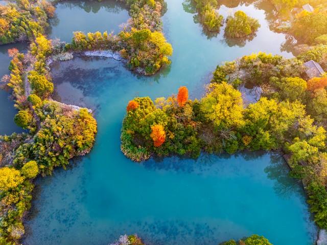 桂花香里漫步杭州：这5条治愈系路线，都是从一缕桂花香开始的！