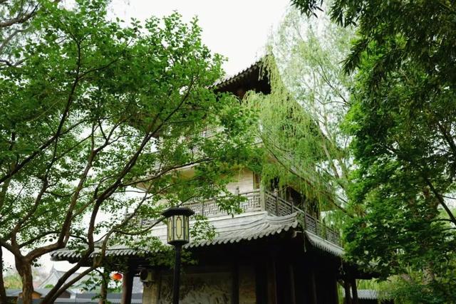 坐拥中国最牛县级博物馆，这座宝藏小城值得你马上出发