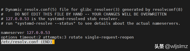 如何在 Linux 中检查 DNS 服务器 IP 地址？