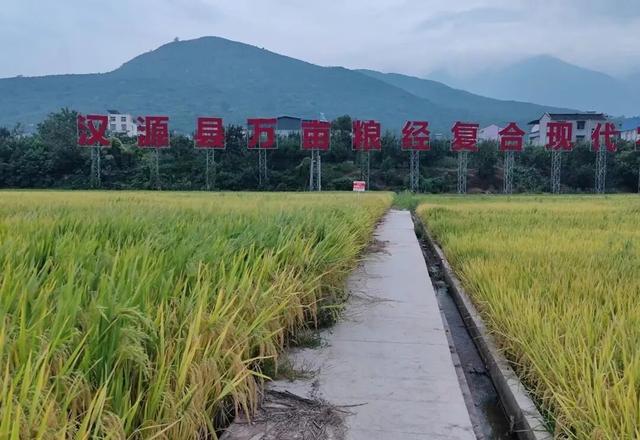 观秋景(平水韵)