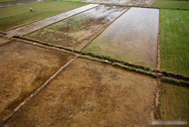 巴西大豆坐地起价？对华报价疯涨，中国买家集体停购：等两个时机