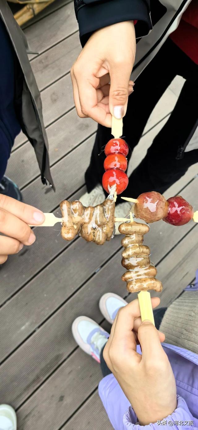 李子柒式的诗意栖居，赞皇也有！